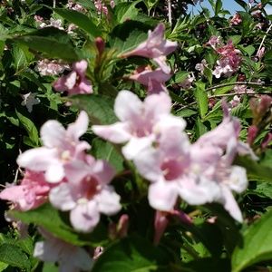 Meet your Posher, Kary